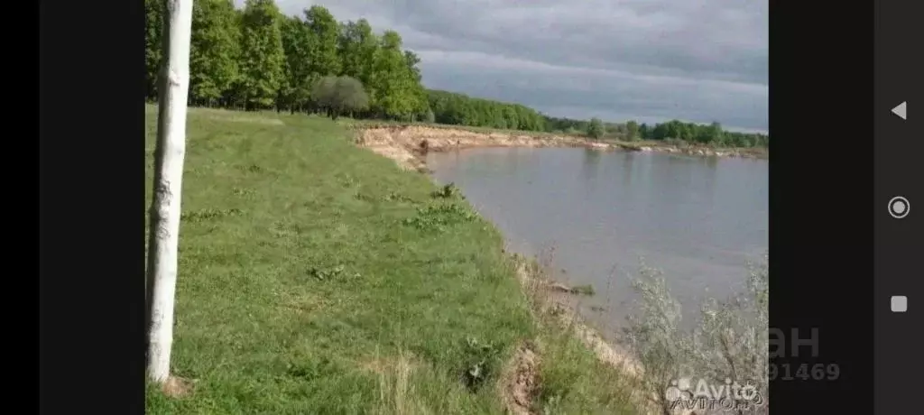 Участок в Нижегородская область, Павловский район, д. Старое Щербинино ... - Фото 1