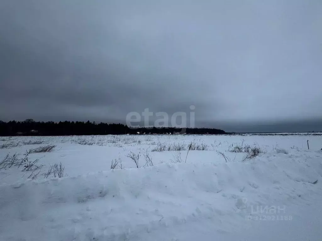 Участок в Кировская область, Киров городской округ, д. Гуси 189А (12.0 ... - Фото 1