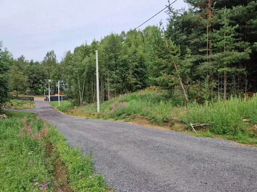 Участок в Ленинградская область, Приозерский район, Красноозерное ... - Фото 1