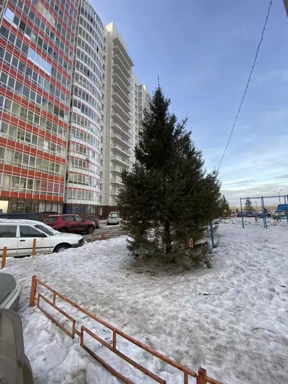 Студия Красноярский край, Красноярск ул. Карамзина, 16 (24.0 м) - Фото 1