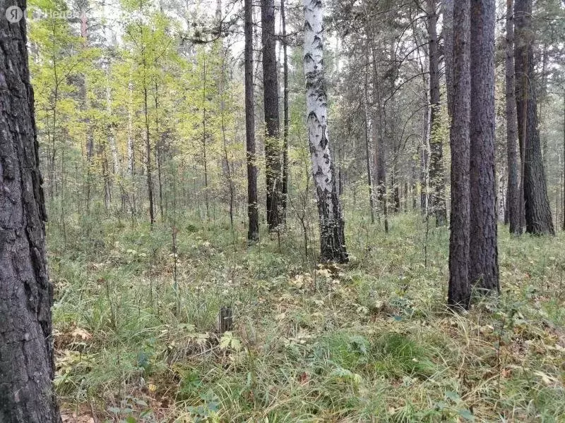 Участок в Иркутский муниципальный округ, рабочий посёлок Маркова, ... - Фото 2