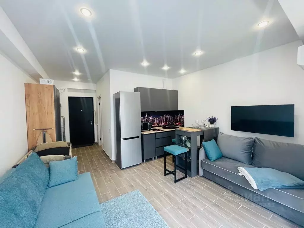 1-к кв. Краснодарский край, Сочи Пластунская ул., 104Бк3 (30.0 м) - Фото 1