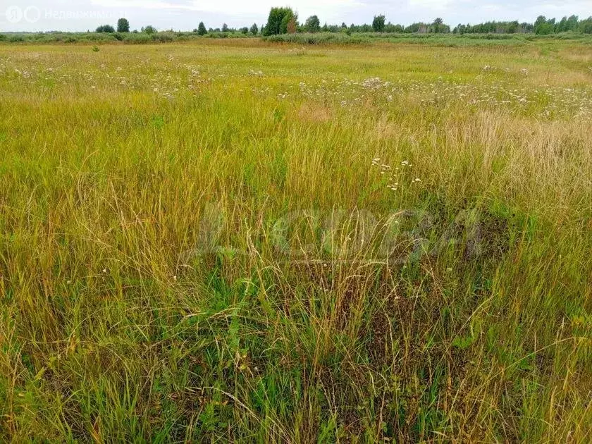 Участок в Тюменский район, село Червишево (9.8 м) - Фото 0