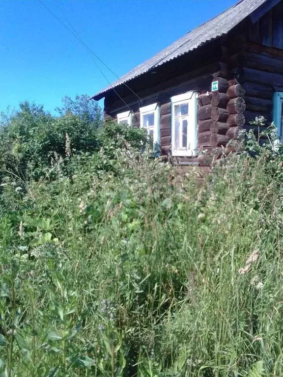 Село паль пермский край. Купить дом деревня Симаково Осинский район Пермский край.