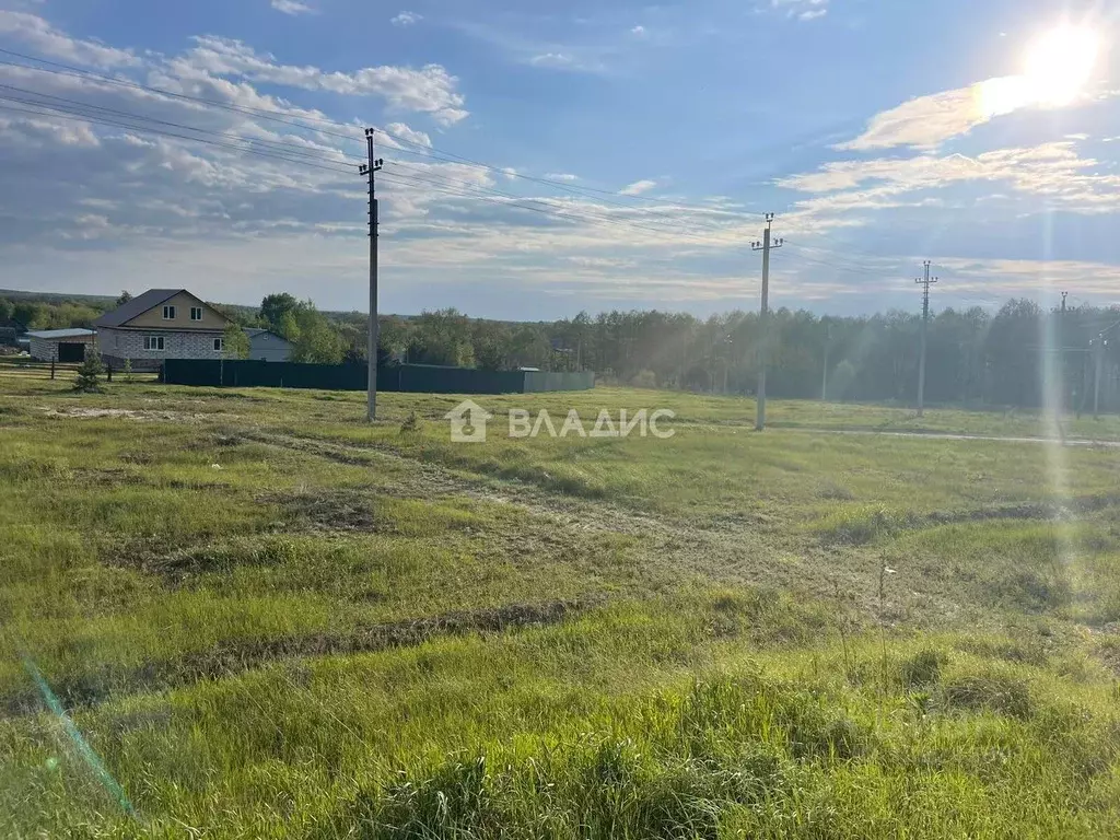 Участок в Пензенская область, Бессоновский район, Сосновский ... - Фото 1