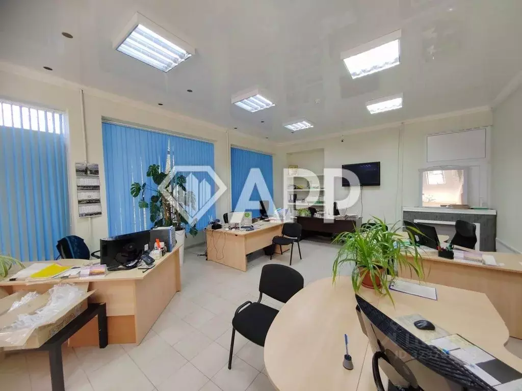 Помещение свободного назначения в Краснодарский край, Новороссийск ул. ... - Фото 1