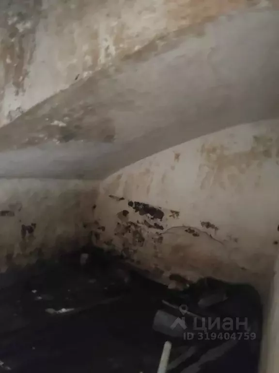 Помещение свободного назначения в Краснодарский край, Краснодар ... - Фото 0