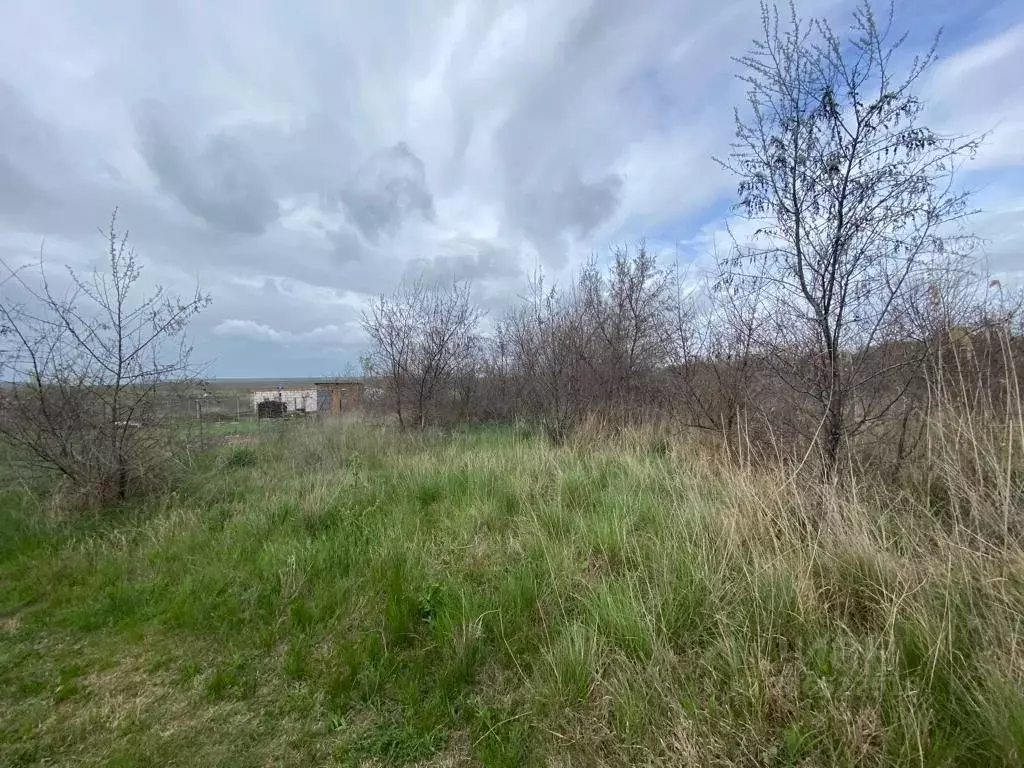 Участок в Крым, Феодосия городской округ, с. Насыпное  (6.29 сот.) - Фото 0