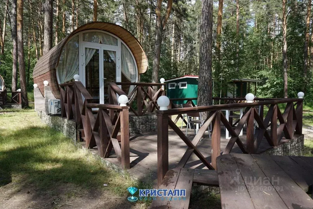 Дом в Челябинская область, Миасский городской округ, пос. Тургояк ул. ... - Фото 1