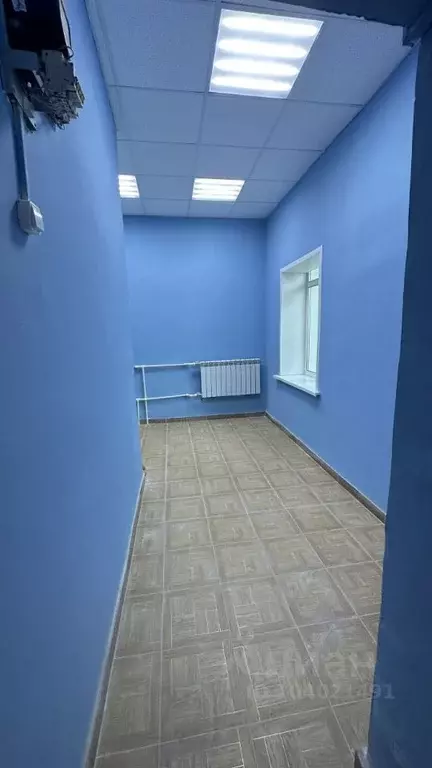 Офис в Воронежская область, Хохольский рп  (17 м) - Фото 0