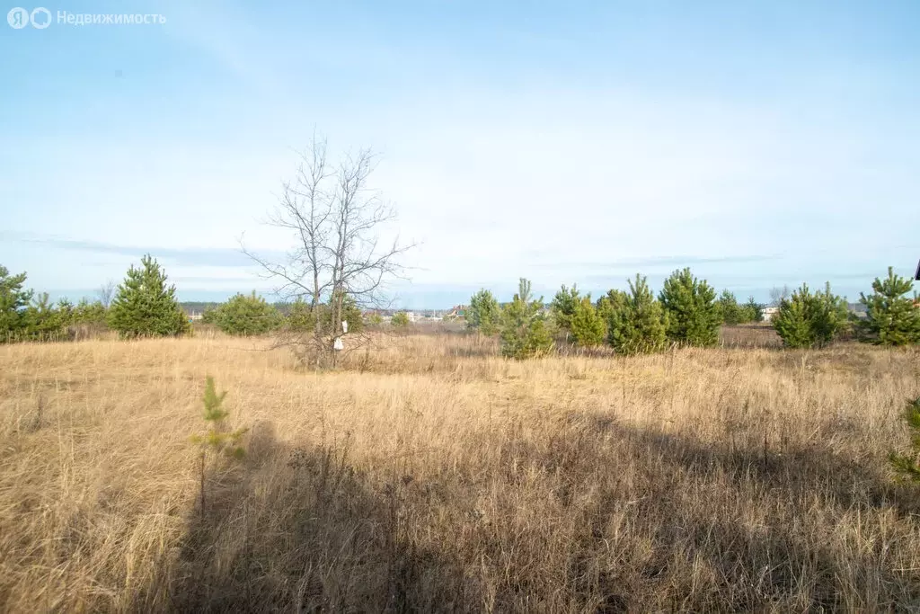 Участок в село Архангельское, микрорайон Зенит, Осиновая улица (4 м) - Фото 2