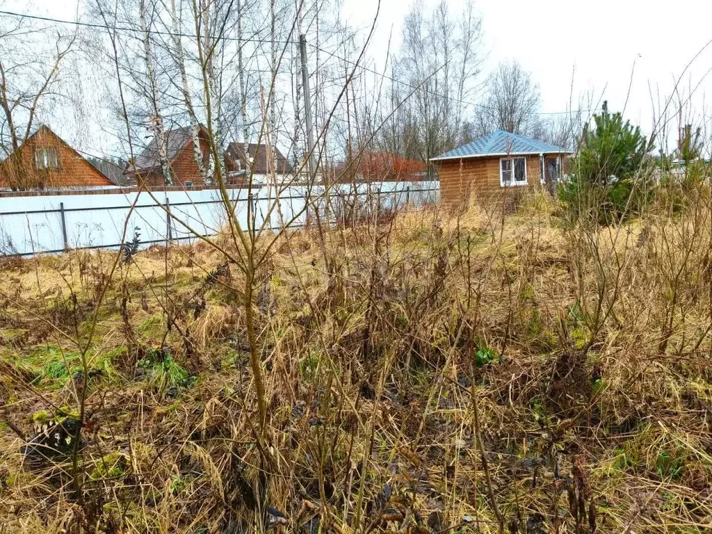 Участок в Владимирская область, Покров городской округ, д. Иваново ул. ... - Фото 2