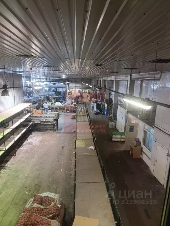 Склад в Калининградская область, Калининград Яблочная ул., 44 (5523 м) - Фото 1