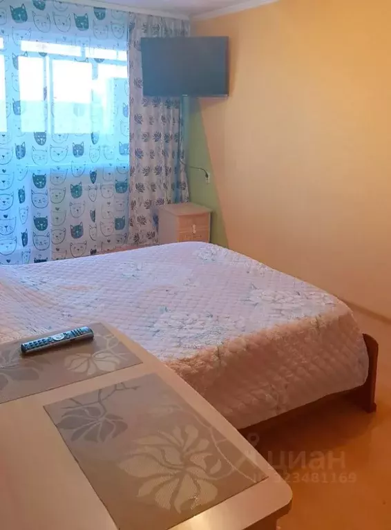 1-к кв. Сахалинская область, Южно-Сахалинск ул. Ленина, 174 (35.0 м) - Фото 2