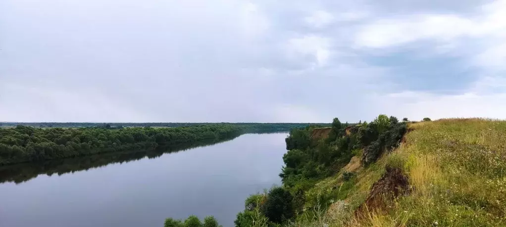 Участок в Рязанская область, Спасский муниципальный округ, с. Троица  ... - Фото 2
