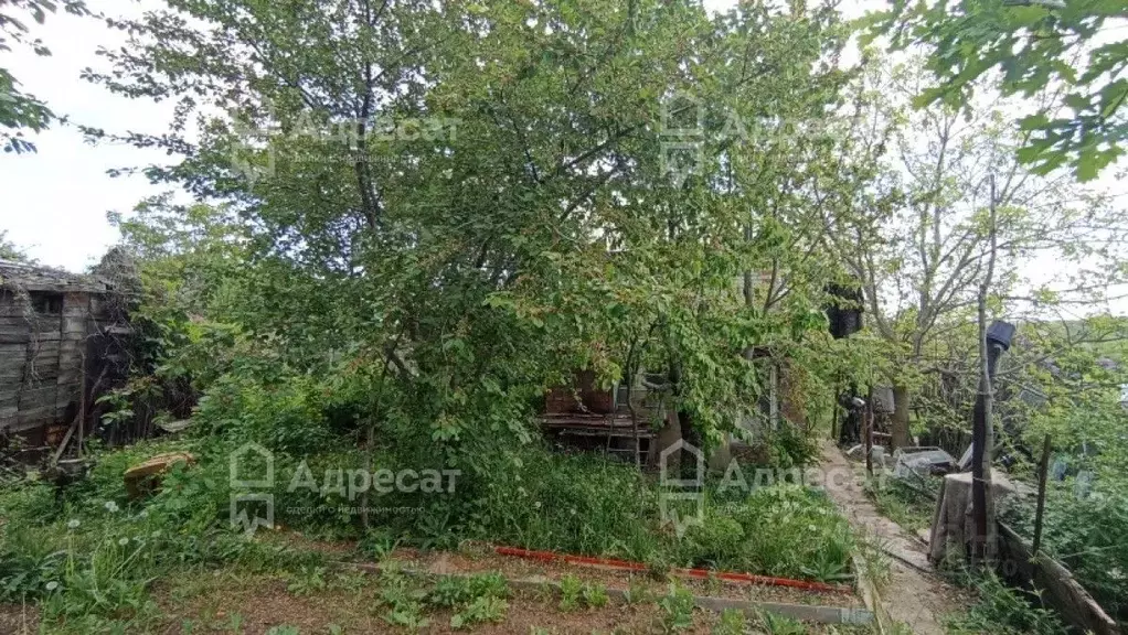 Дом в Волгоградская область, Волгоград Кировец СНТ,  (30 м) - Фото 1