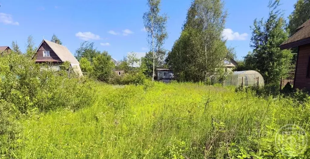 Участок в Ленинградская область, Выборгский район, Рощино пгт, ... - Фото 1