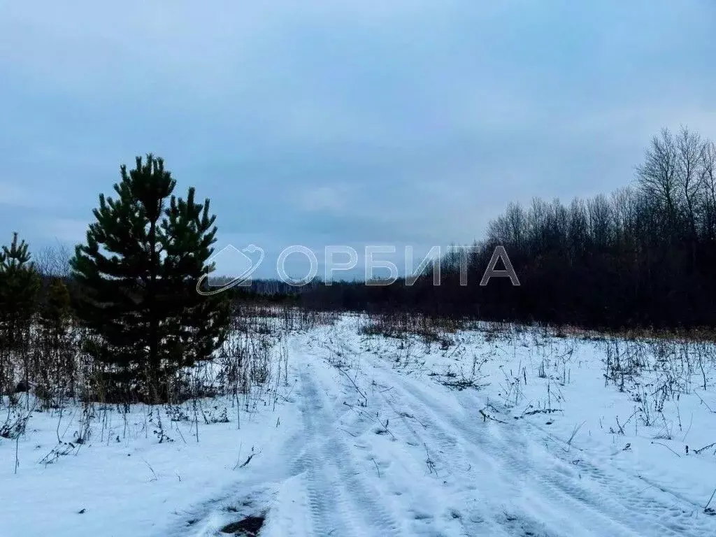 Участок в Тюменская область, Тюменский район, с. Горьковка Сибирская ... - Фото 0