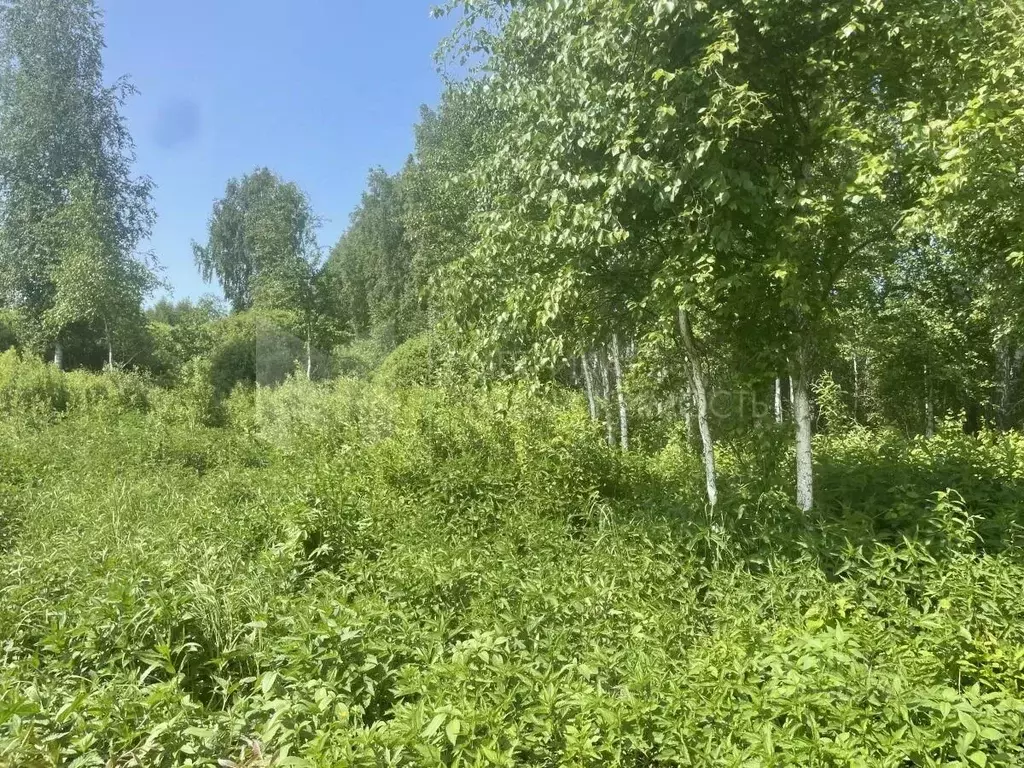 Участок в Тюменская область, Нижнетавдинский район, Геолог-2 СНТ  ... - Фото 1