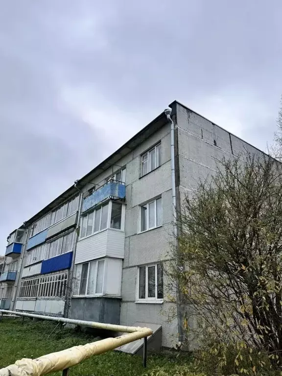 2-к кв. Тверская область, Рамешки пгт ул. Советская, 62 (48.9 м) - Фото 2