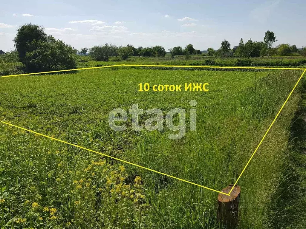 Участок в Брянская область, Выгоничский район, Кокинское с/пос, с. ... - Фото 1