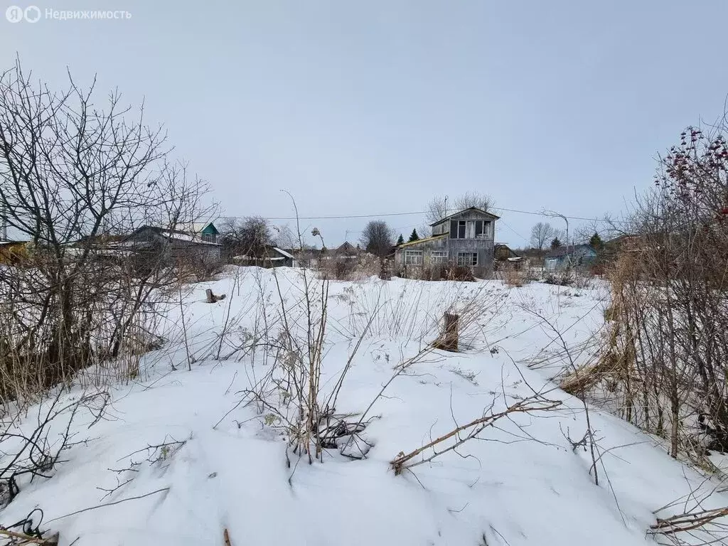 Участок в Кострома, садоводческое некоммерческое товарищество ... - Фото 2