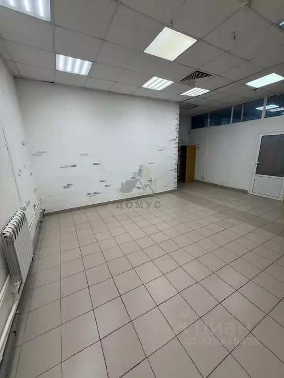 Торговая площадь в Московская область, Раменский муниципальный округ, ... - Фото 2