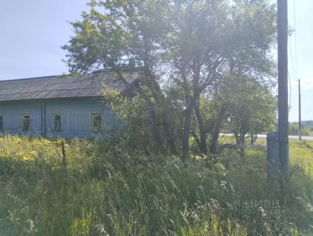 Дом в Кировская область, Орловское с/пос, д. Высоково  (100 м) - Фото 2