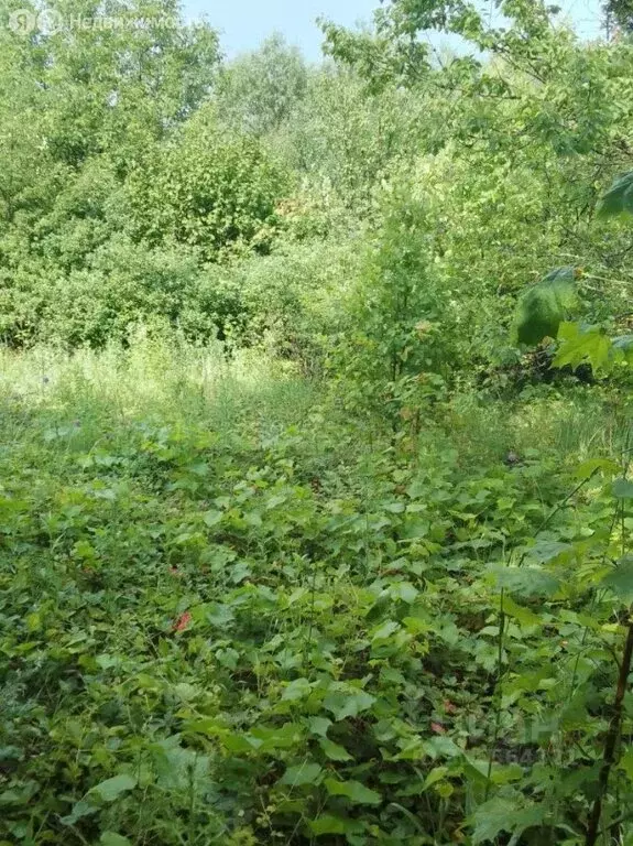 Участок в деревня Сивково, КП Зелёная роща-1, 2006А (15 м) - Фото 2