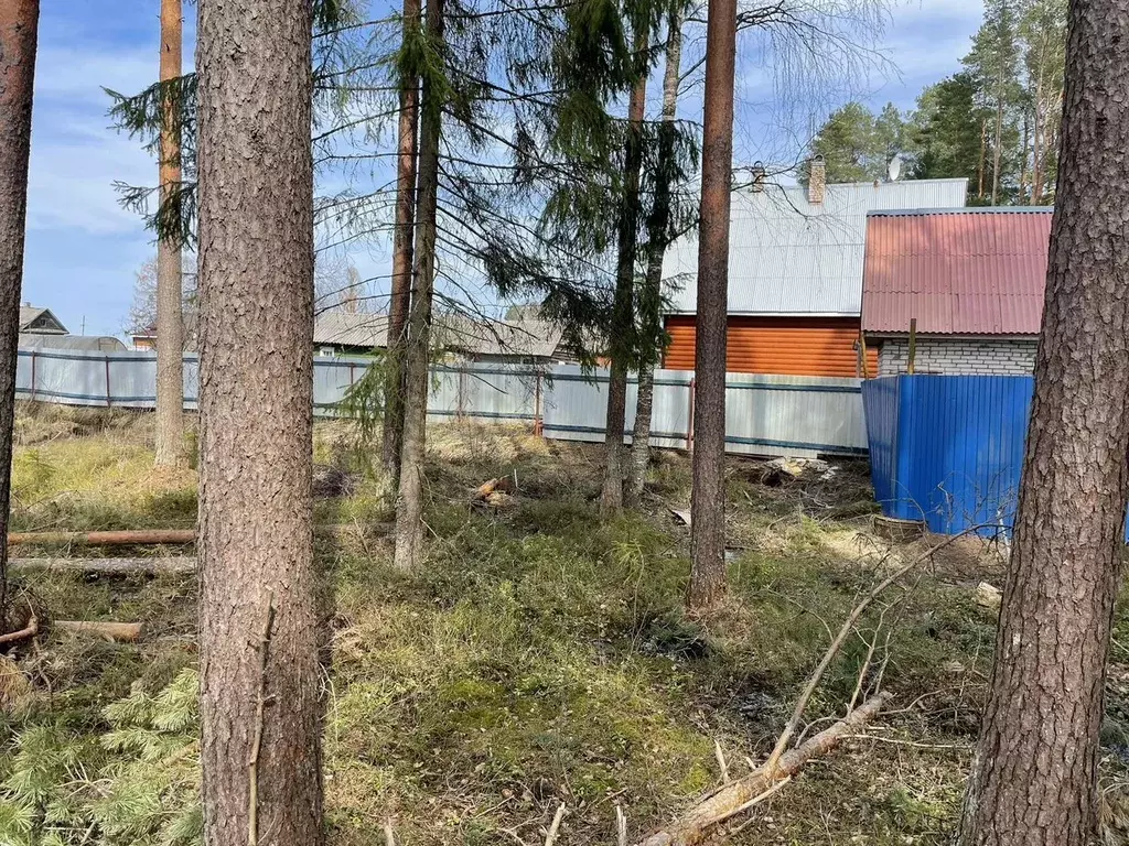 Участок в Ленинградская область, Лодейнопольский район, пос. ... - Фото 1