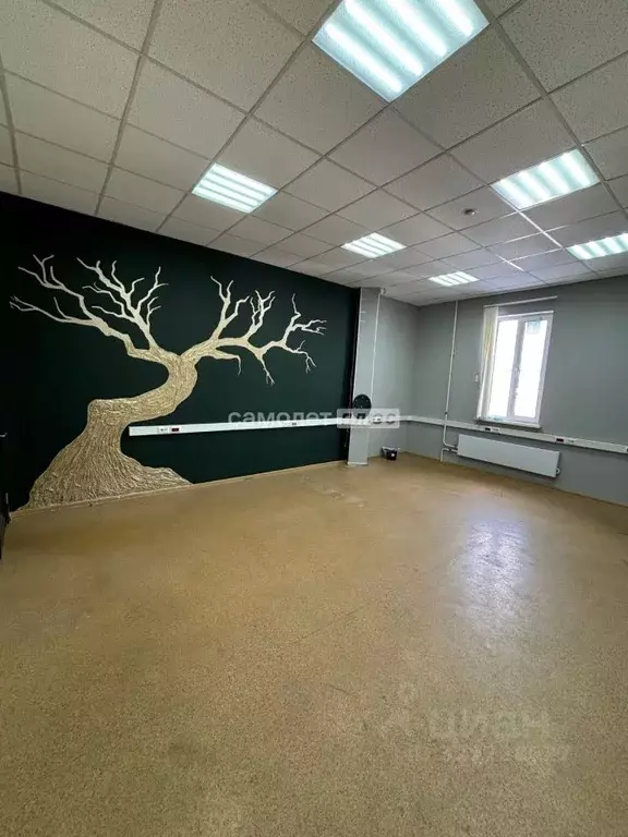Помещение свободного назначения в Московская область, Ногинск ... - Фото 1