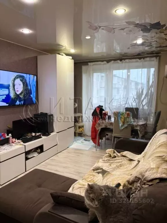 3-к кв. Ленинградская область, Лодейное поле ул. Гагарина, 13 (54.9 м) - Фото 1