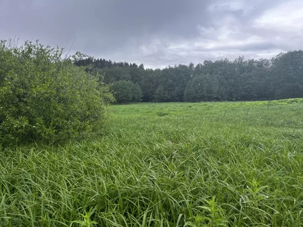 Участок в Московская область, Клин городской округ, д. Парфенькино ул. ... - Фото 2