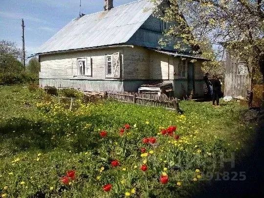 Дом в Псковская область, Струго-Красненский район, д. Зарябинка  (41 ... - Фото 0