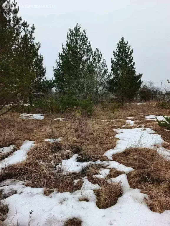 Участок в Воронеж, СНТ Иволга, 477 (6.3 м) - Фото 2