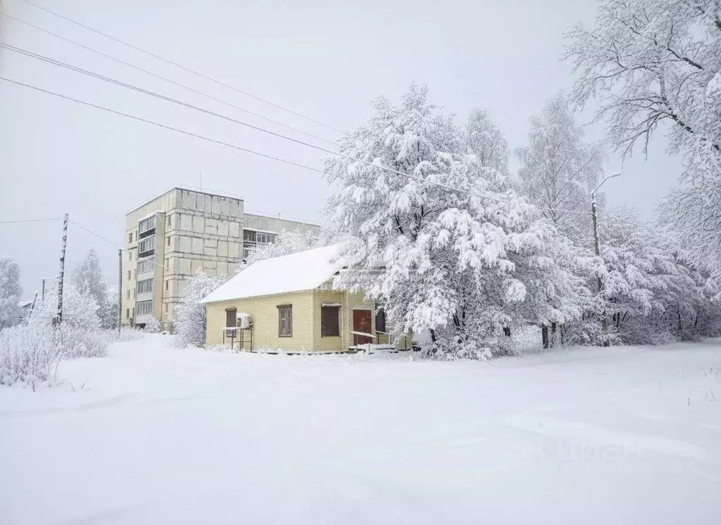 Помещение свободного назначения в Карелия, Медвежьегорск ул. Карла ... - Фото 1
