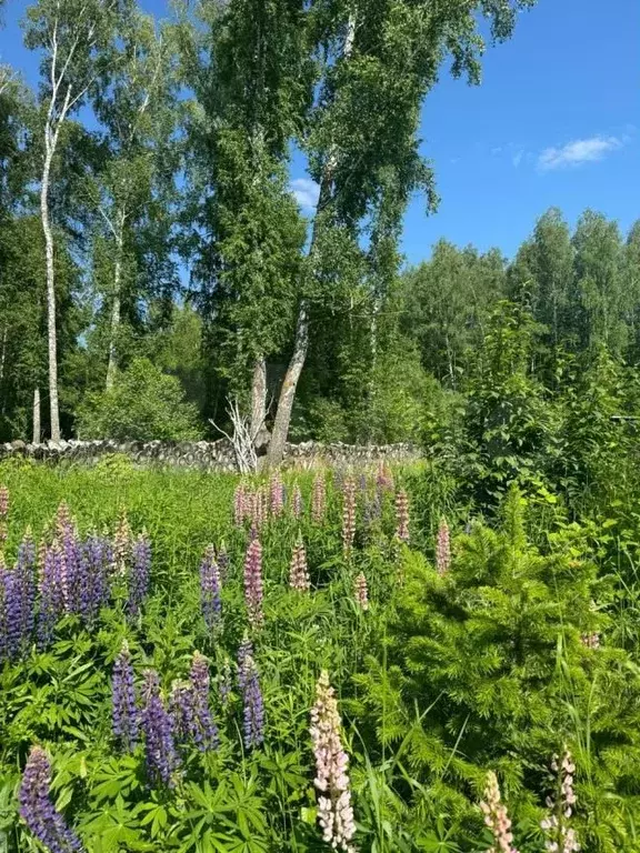 Участок 10 сот. (СНТ, ДНП) - Фото 1