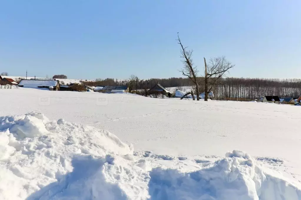 Участок в Татарстан, Высокогорский район, с. Большие Ковали Нагорная ... - Фото 1