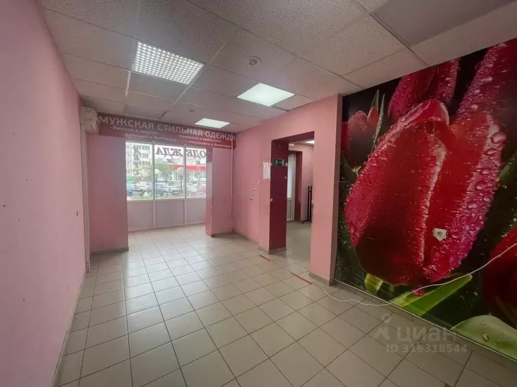 Помещение свободного назначения в Удмуртия, Ижевск Клубная ул., 50 ... - Фото 1