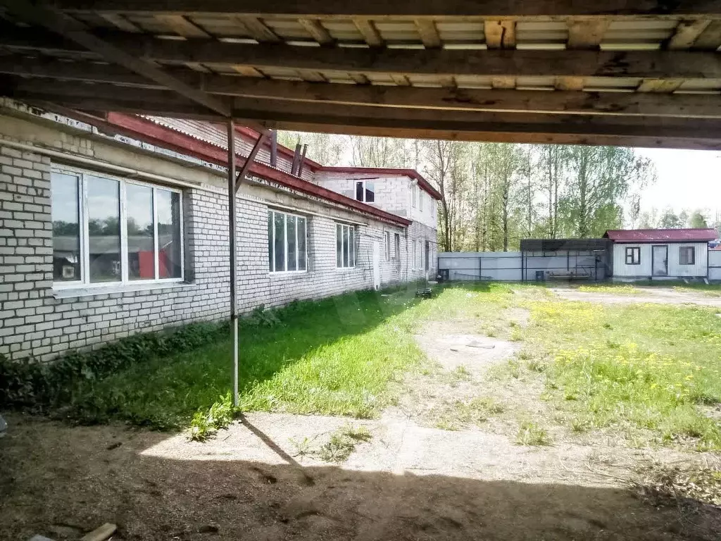 Сдам помещение свободного назначения, 986.1 м - Фото 0