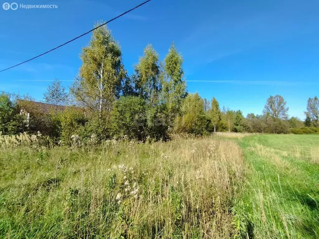 участок в некрасовский район, сельское поселение красный профинтерн, . - Фото 0