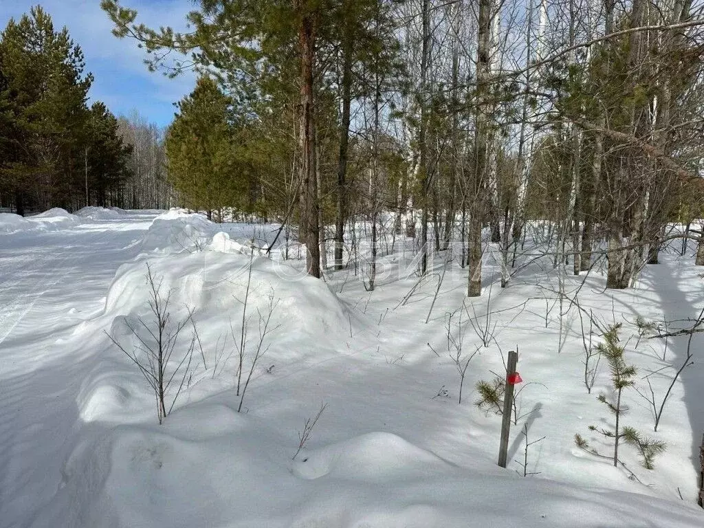 Участок в Тюменская область, Нижнетавдинский район, с. Тюнево  (15.0 ... - Фото 1