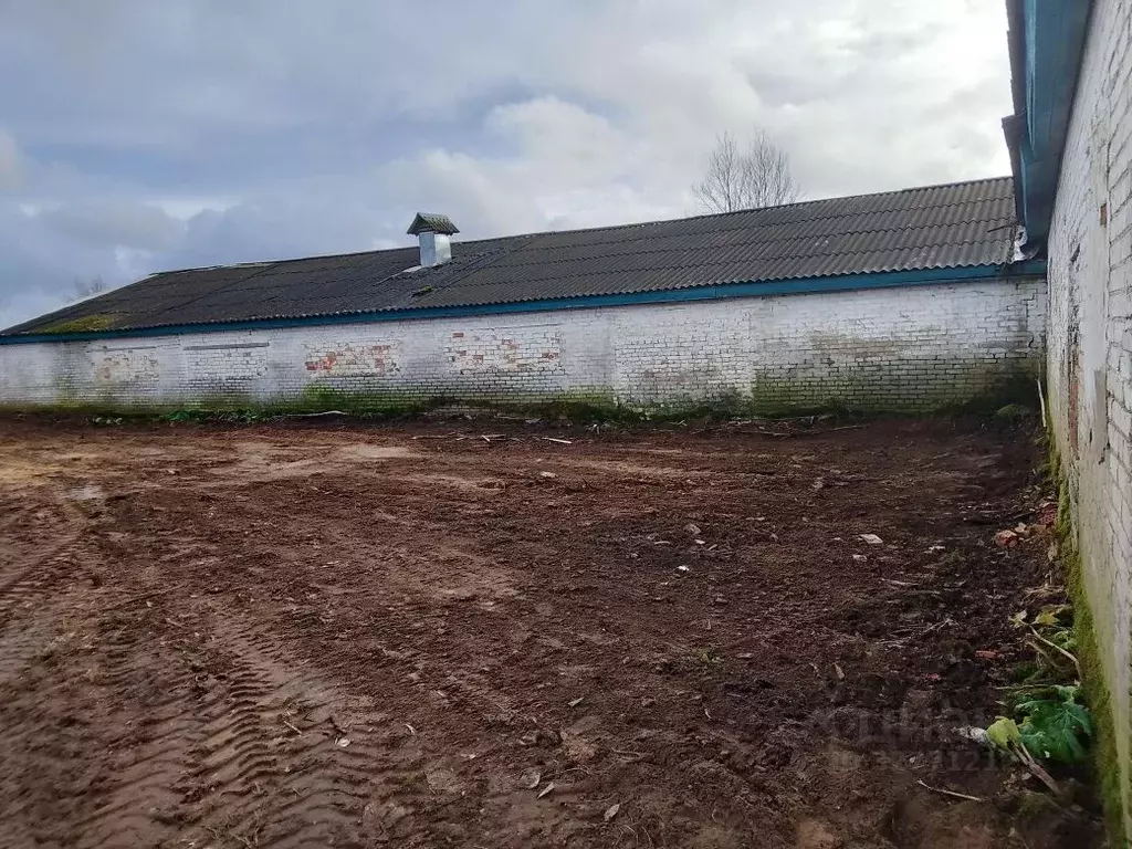 Помещение свободного назначения в Псковская область, Палкинская ... - Фото 2