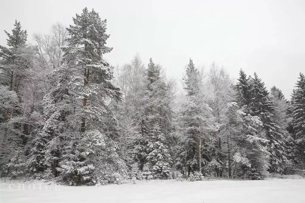 Участок в Московская область, Одинцовский городской округ, пос. ... - Фото 1