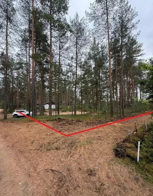 Участок в Ленинградская область, Выборгский район, Рощинское городское ... - Фото 2