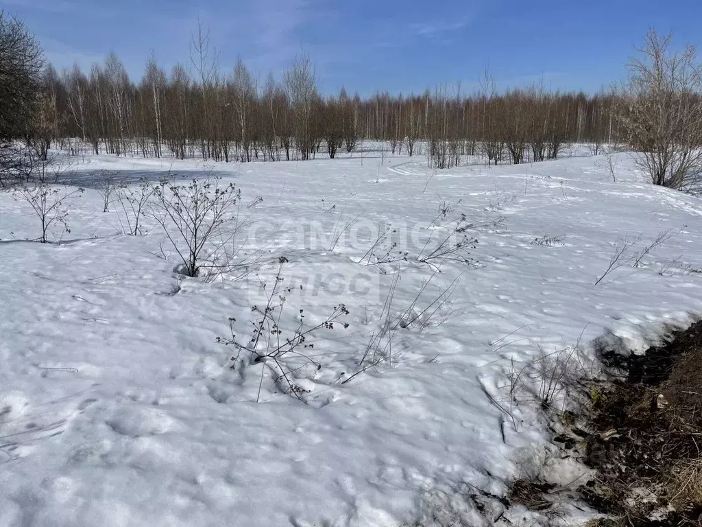 Участок в Марий Эл, Медведевский район, Пекшиксолинское с/пос, пос. ... - Фото 2