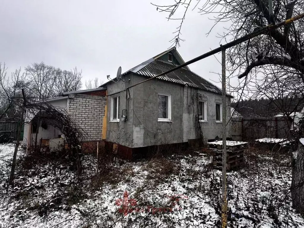 Дом в Белгородская область, Шебекинский муниципальный округ, Ржавец ... - Фото 1