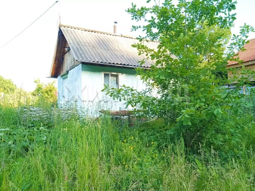 Участок в Новосибирская область, Новосибирский район, Раздольненский ... - Фото 1
