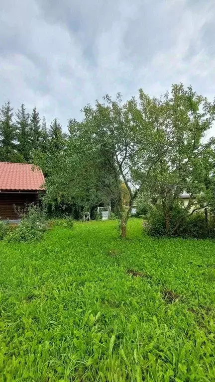 Участок, 16 сот., поселения (ижс) - Фото 2