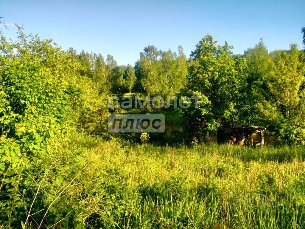 Дом в Рязанская область, Рязань Картонник СТ,  (20 м) - Фото 1